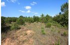 Tract 12 - LAND AUCTION - 160+/- ACRES OFFERED IN 19 TRACTS IN OKLAHOMA CO., OK